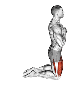 Body Extension exercise demonstration for Thighs, Body weight