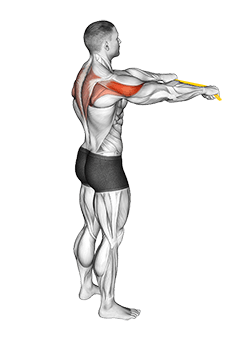 Resistance Band Pull Apart exercise demonstration