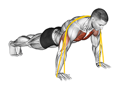 Resistance Band Push-Up exercise demonstration for Chest, Resistance Band
