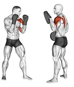 Boxing Jab exercise demonstration for Plyometrics, Body weight