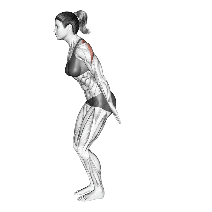 Backhand Raise exercise demonstration for Back, Body weight
