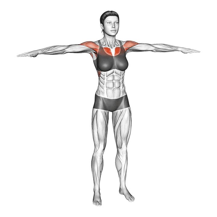 Arm Crossover exercise demonstration