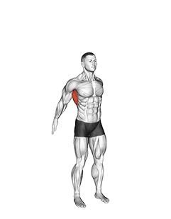 Dynamic Back Stretch exercise demonstration for Back, Body weight