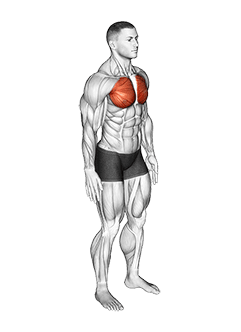 Elbows Back Stretch exercise demonstration for Back, and Chest, Body weight