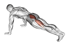 Hip Extension Stretch exercise demonstration for Hips, Body weight