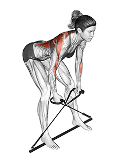 Bar Band Bent Over Row exercise demonstration
