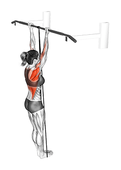 Band Assisted Chin-Up exercise demonstration for Back, Band