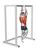 Commando Pull-up exercise demonstration for Back, and Waist, Body weight