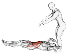 Assisted Lying Leg Raise With Throw Down exercise demonstration for Waist, Assisted