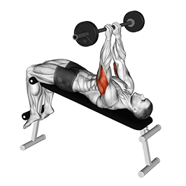 Decline Close Grip To Skull Press exercise demonstration
