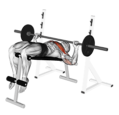 Decline Wide-grip Press exercise demonstration for Chest, Barbell