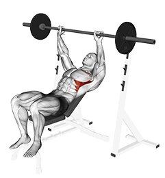 Barbell Incline Shoulder Raise exercise demonstration for Chest, Barbell