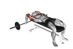 Barbell Lying Close-grip Triceps Extension exercise demonstration for Triceps, and Upper Arms, Barbell