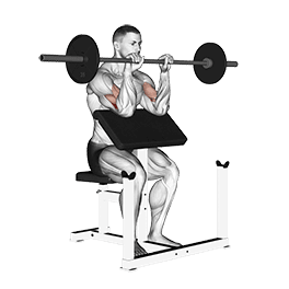 Reverse Preacher Curl exercise demonstration for Forearms, Barbell