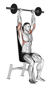 Barbell Seated Bradford Rocky Press exercise demonstration for Shoulders, Barbell