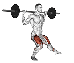 Barbell Side Split Squat exercise demonstration for Quadriceps, and Thighs, Barbell