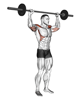 Barbell Standing Bradford Press exercise demonstration for Shoulders, Barbell