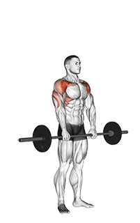 Barbell Standing Front Raise Over Head exercise demonstration