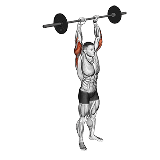 Standing Overhead Triceps Extension exercise demonstration