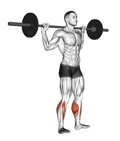 Barbell Standing Rocking Leg Calf Raise exercise demonstration for Calves, Barbell