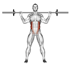 Barbell Standing Twist exercise demonstration
