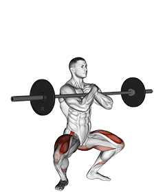 Barbell Zercher Squat exercise demonstration for Hips, Barbell