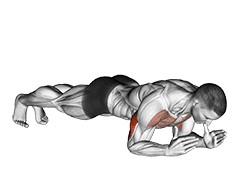 Body-Up exercise demonstration
