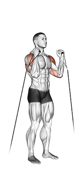 Cable Alternate Shoulder Press exercise demonstration for Shoulders, Cable