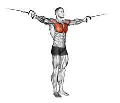 Cable Cross-over Variation exercise demonstration for Chest, Cable