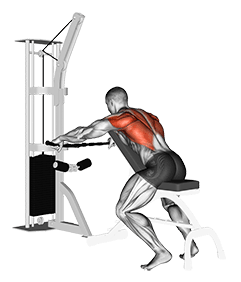 Cable Decline Seated Wide-grip Row exercise demonstration for Back, Cable