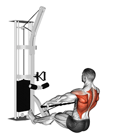 Cable Floor Seated Wide-grip Row exercise demonstration for Back, Cable