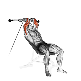 Incline Triceps Extension exercise demonstration