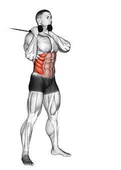 Cable Judo Flip exercise demonstration