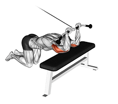 Kneeling Triceps Extension exercise demonstration