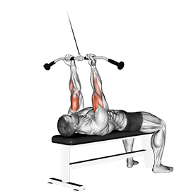 Lying Close-grip Curl exercise demonstration for Biceps, and Upper Arms, Cable