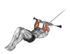 Cable Lying Triceps Extension exercise demonstration for Triceps, and Upper Arms, Cable