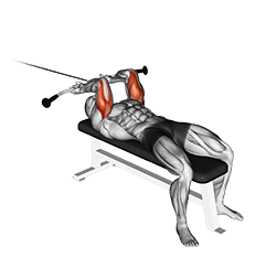 Lying Triceps Extension exercise demonstration