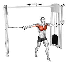 Cable Middle Fly exercise demonstration for Chest, Cable