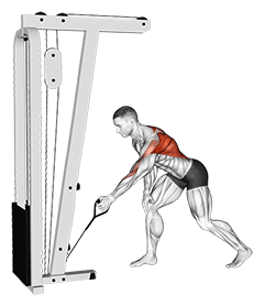 Cable One Arm Bent over Row exercise demonstration for Back, Cable