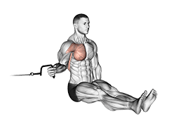 Cable Seated Shoulder Internal Rotation exercise demonstration for Back, Cable