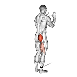 Standing Hip Extension exercise demonstration