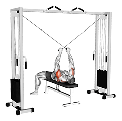 Supine Reverse Fly exercise demonstration