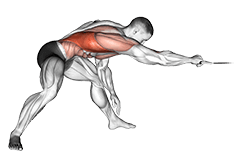 Cable Twisting Pull exercise demonstration for Back, Cable