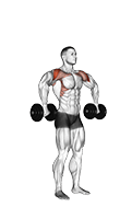 Dumbbell Cuban Press exercise demonstration