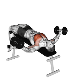 Dumbbell Decline Twist Fly exercise demonstration for Chest, Dumbbell