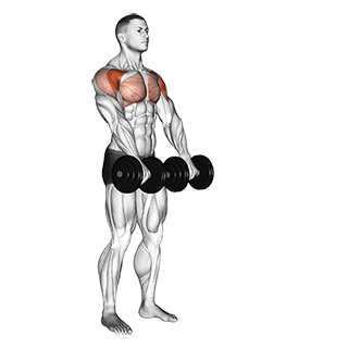 Front Raise exercise demonstration