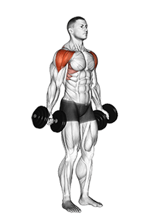Dumbbell Full Can Lateral Raise exercise demonstration for Shoulders, Dumbbell