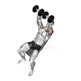 Incline Bench Press exercise demonstration