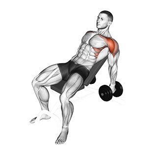 Incline Raise exercise demonstration