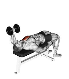 Dumbbell Lying One Arm Press exercise demonstration for Chest, Dumbbell